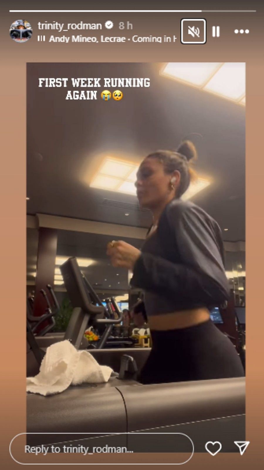 Screenshot of Rodman's' Instagram story.